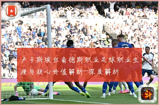 卢卡斯埃尔南德斯职业足球职业生涯与核心价值解析-深度解析