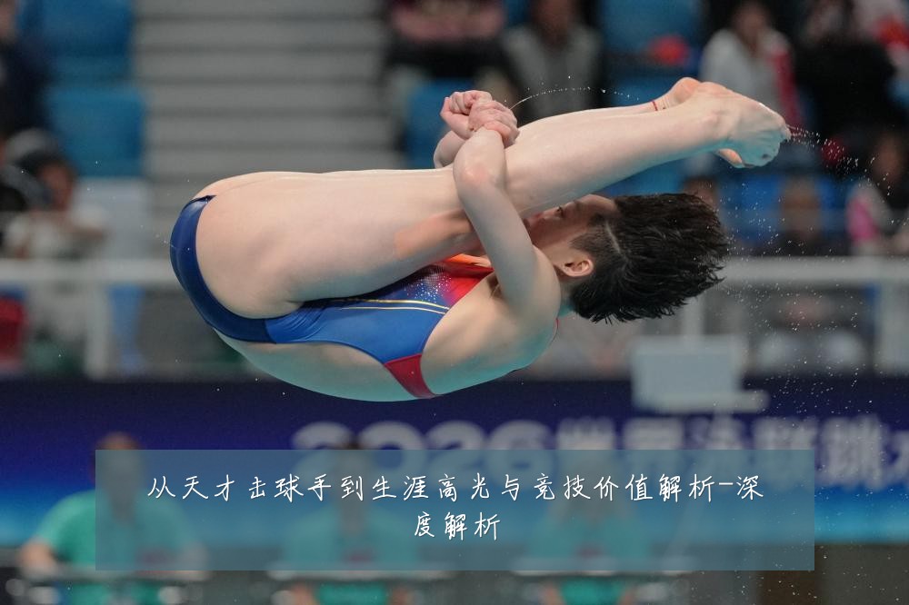 从天才击球手到生涯高光与竞技价值解析-深度解析
